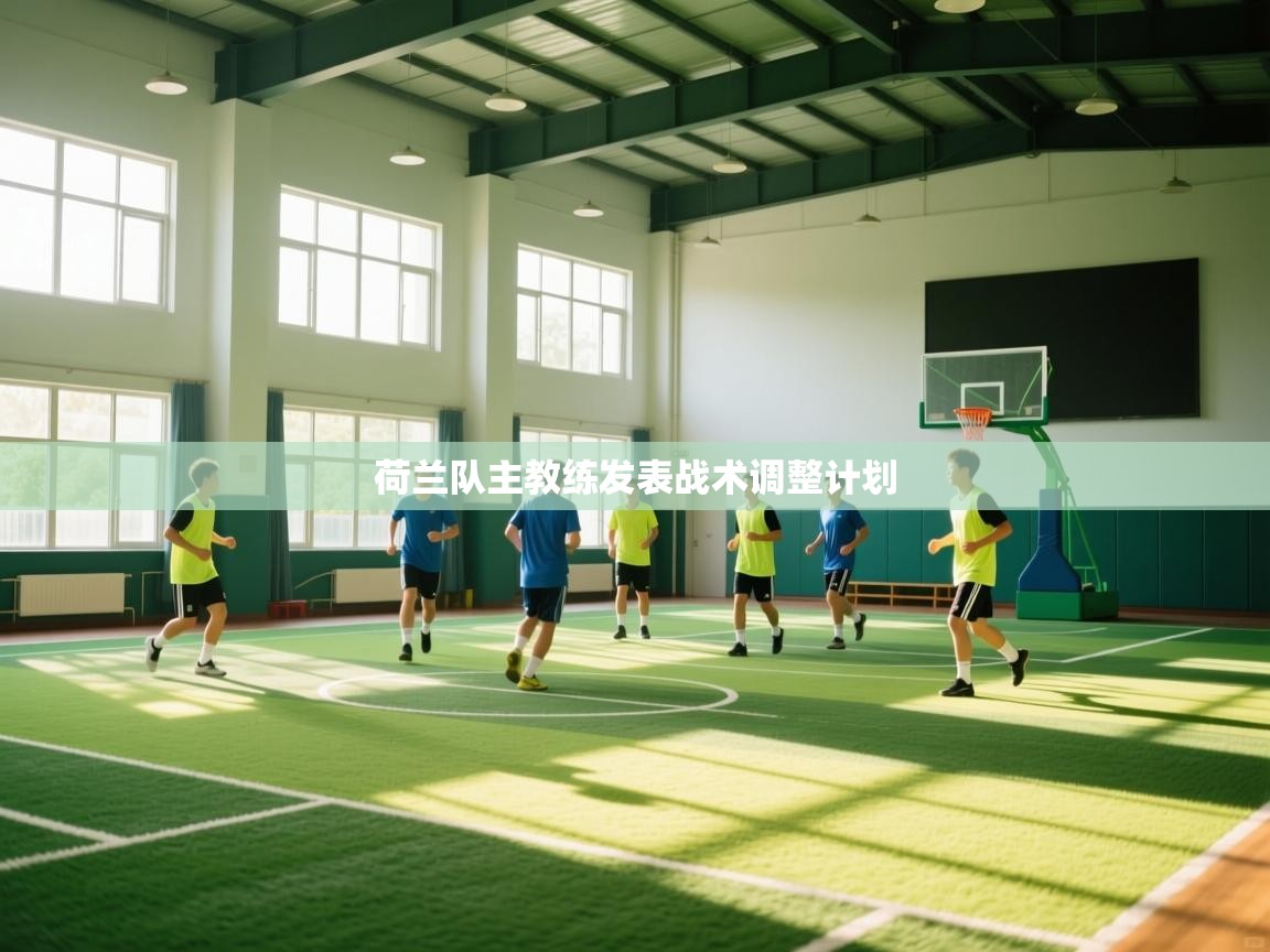 荷兰队主教练发表战术调整计划  第1张