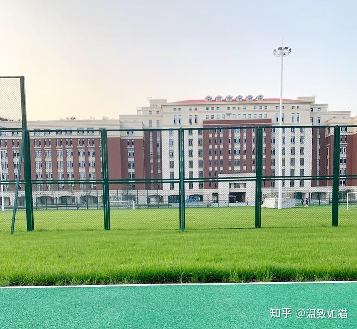 包含首都君猫队队员集训备战，为接下来的比赛做好准备！的词条