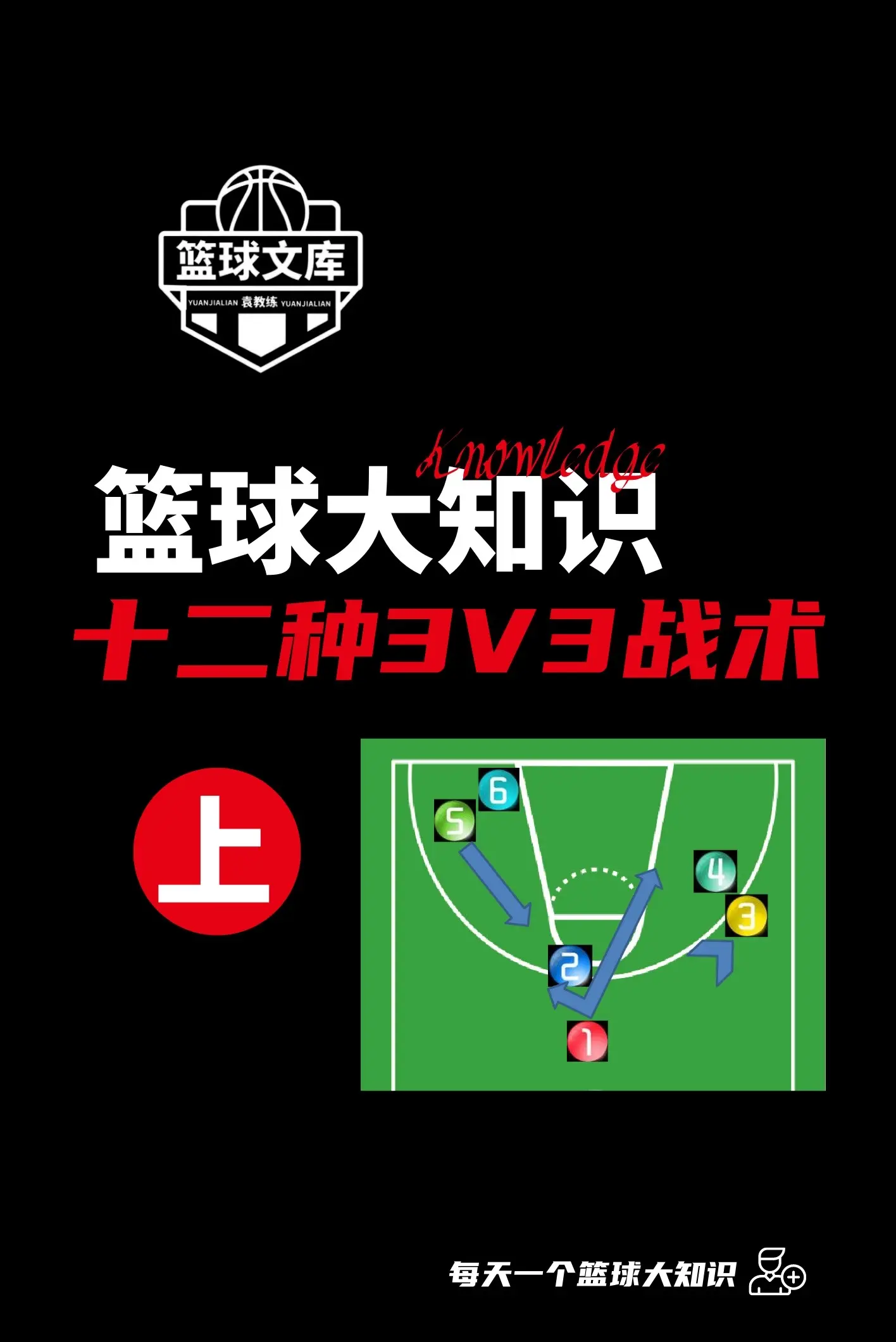 球队战术调整，球迷热议备战新赛季的简单介绍