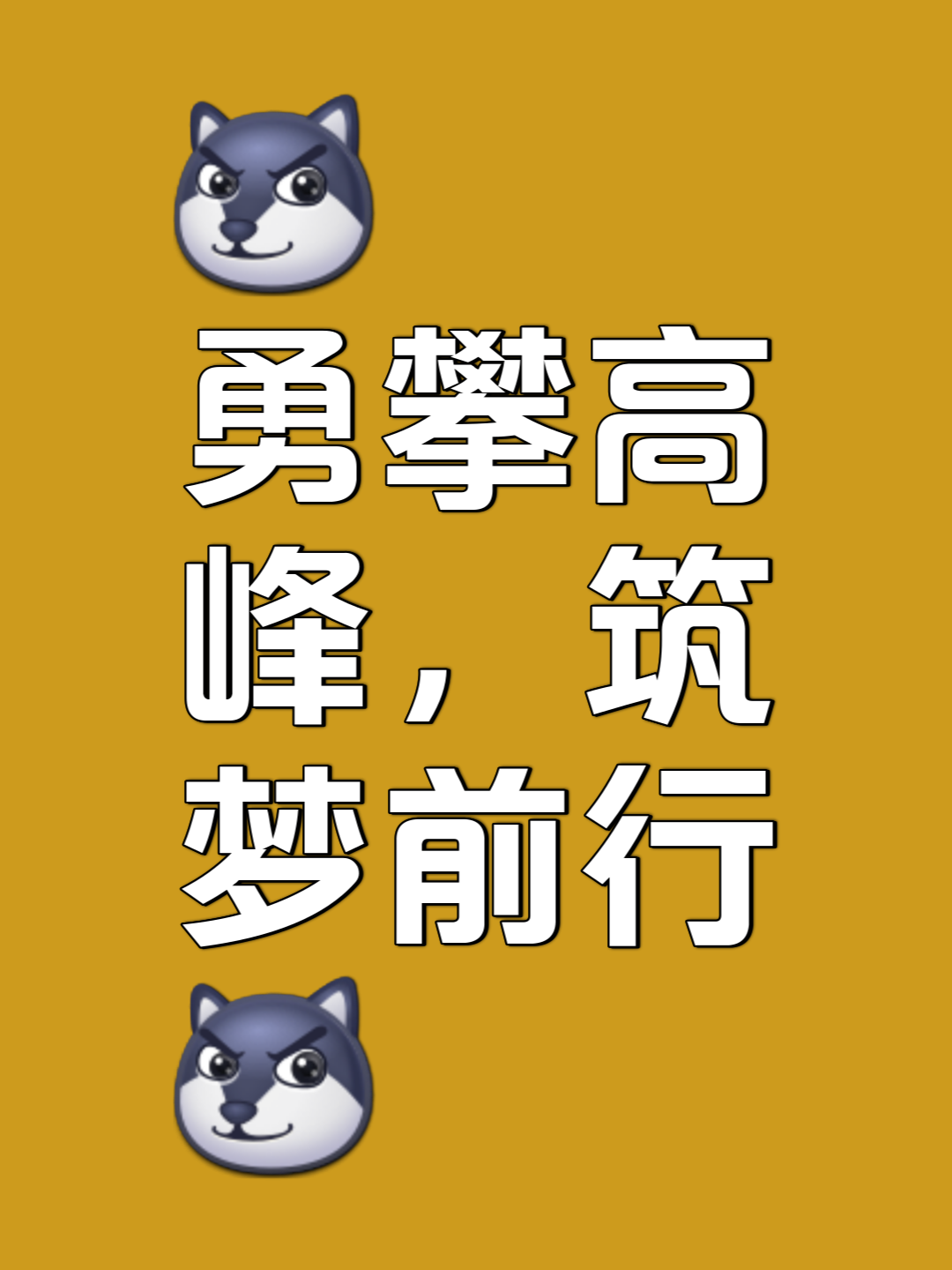 关于努力超越，选手掌握先机尽力发挥的信息