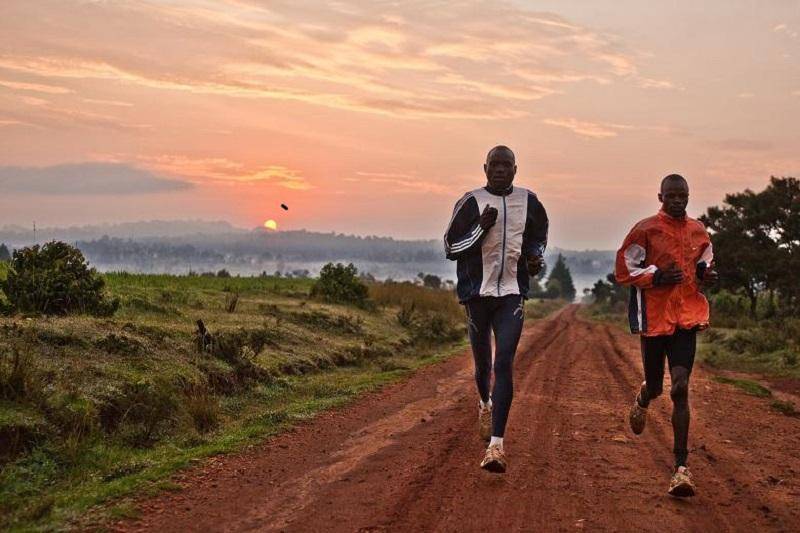 非洲短跑王者尽显神勇,天下无敌的简单介绍 非洲短跑王者尽显神勇,天下无敌的简单介绍